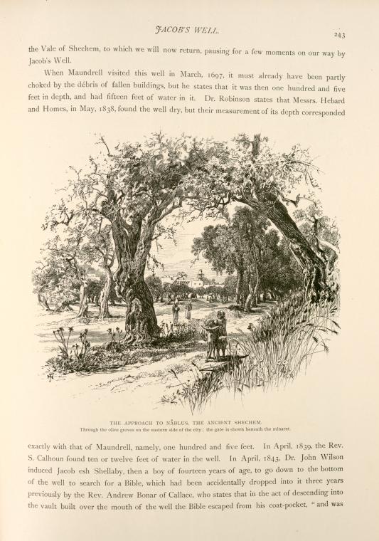 The approach to Nâblus, the ancient Shechem.  Through the olive groves on the eastern side of the city; the gate is shown beneath the minaret