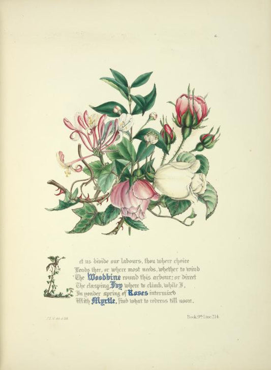 Woodbine, ivy, roses and myrtle