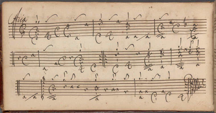 Collection of lute music in French lute tablature