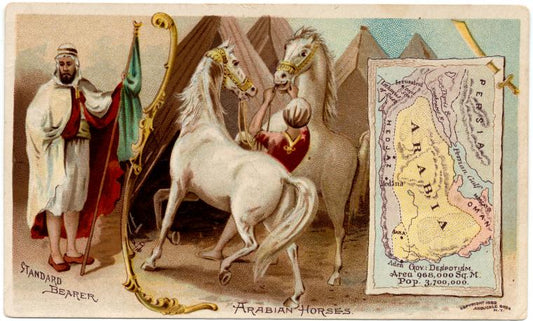 Arabia.