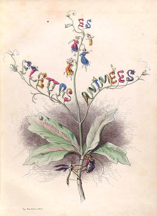 Les fleurs animées. [Illustrated frontis piece, pt. 2]