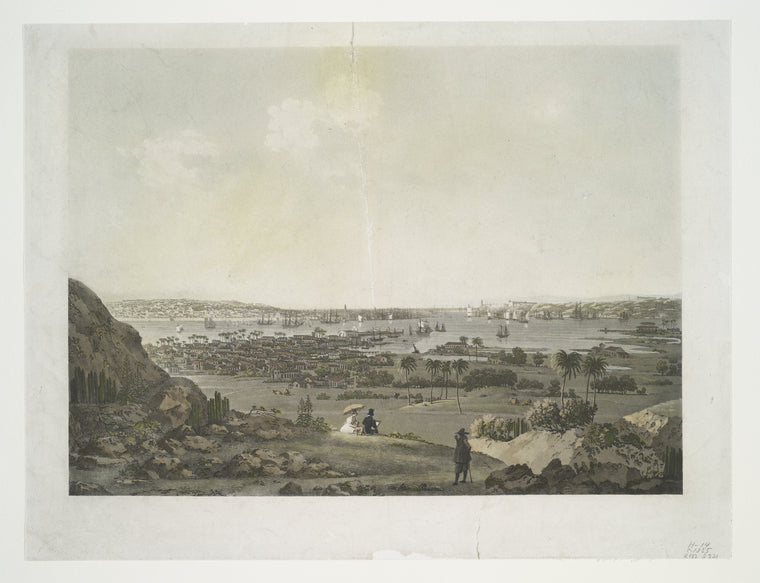 Vue de la baie et entrée du port de la Havane prise du chemin de Guanabacca