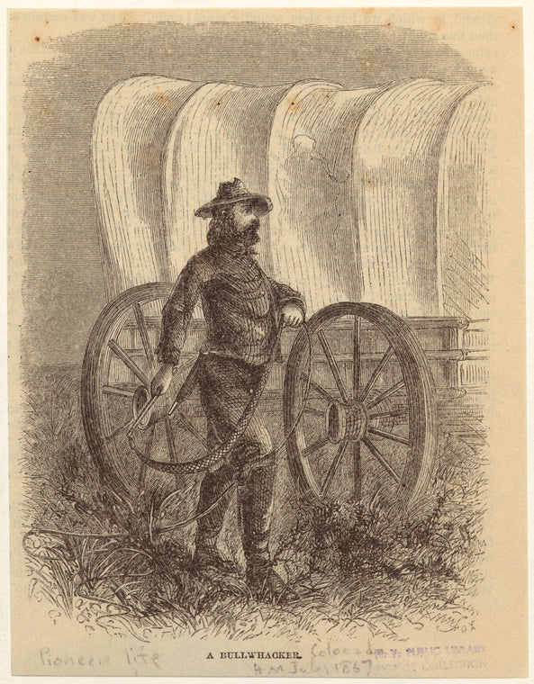 A bullwhacker