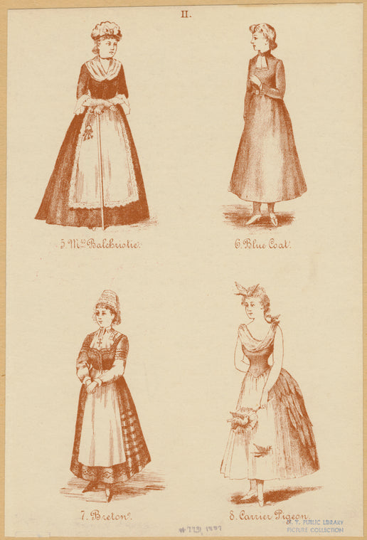 Mrs. Balchristie ; Blue coat ; Breton ; Carrier pigeon
