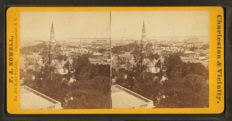 Bird's-eye from St. Michael's, n.-e.