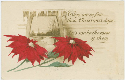 They are so few - these Christmas days....