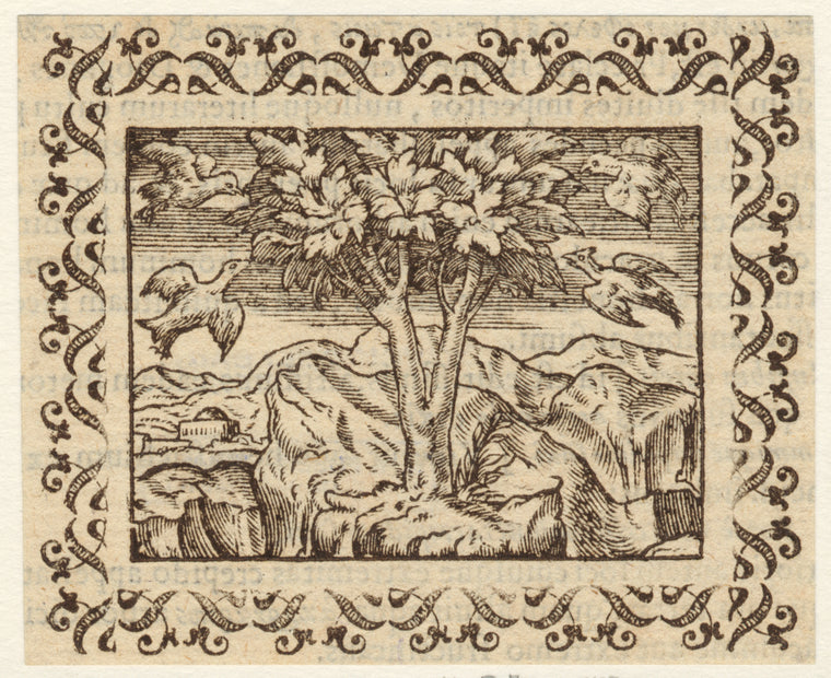 Birds surrounding a tree