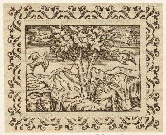 Birds surrounding a tree