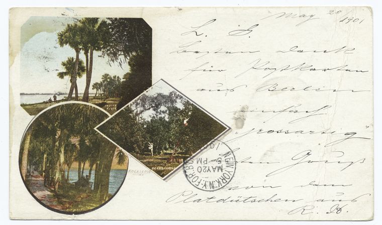 Florida--Rockledge--Indian River--Orange Grove--The Walk