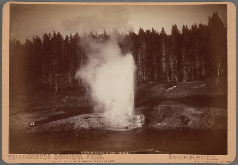 Riverside Geyser, during eruption