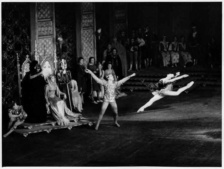 Swan lake