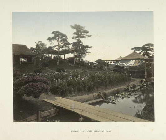 Horikiri, Iris Flower Garden at Tokio
