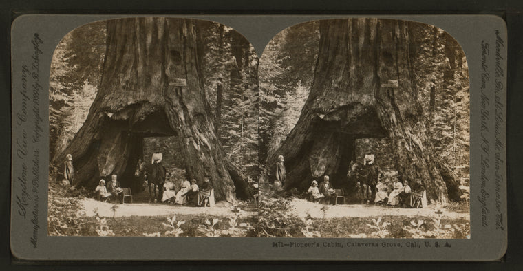Pioneer's Cabin, Calaveras Grove, Cal., U. S. A..