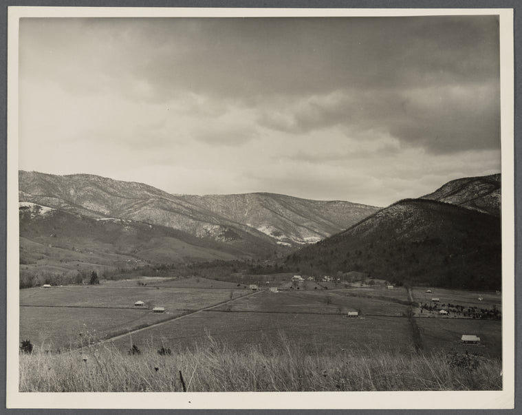 General view of Ida Valley Homesteads looking east from top of pasture hill. Luray, Virginia.