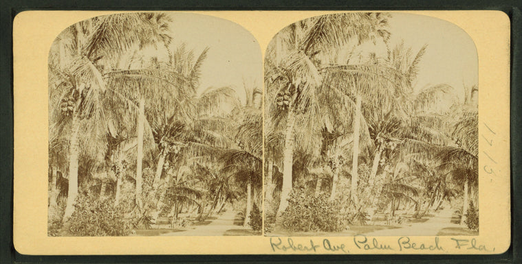 Robert Avenue, Palm Beach, Florida.