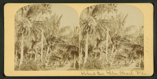 Robert Avenue, Palm Beach, Florida.