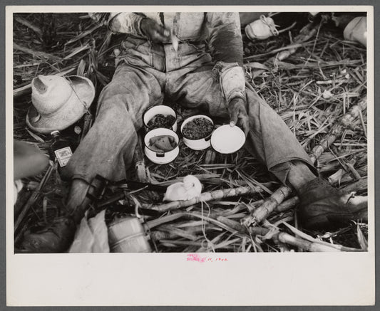 Guanica (vicinity), Puerto Rico. Lunch of a sugar worker consisting of rice, beans and papaya. On a plantation.