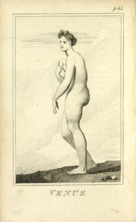 Venus