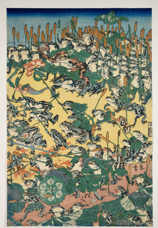 Fashionable Battle of Frogs