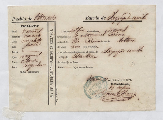 Padron de Esclavos: Nieves