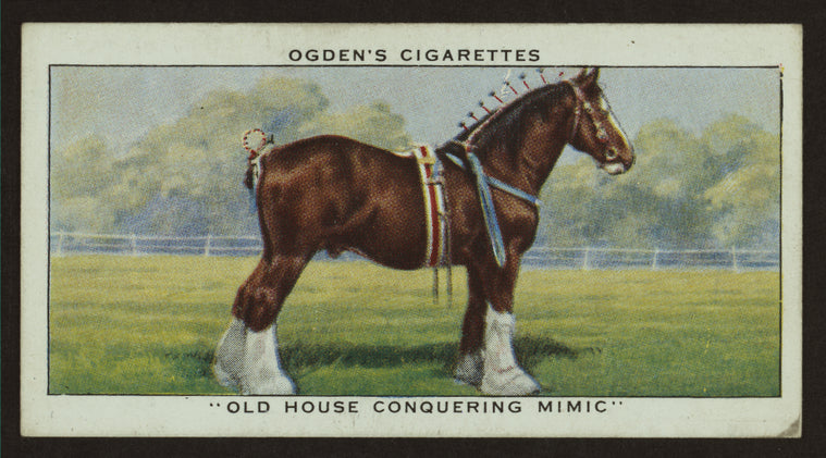 Old House Conquering Mimic.