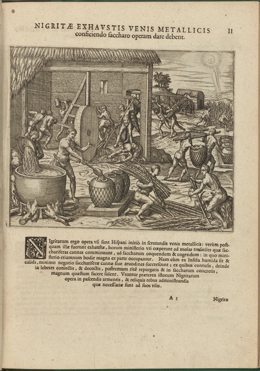 Nigritae exhavstis venis metallicis consiciendo saccharo operam dare debent