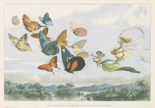 The Fairy Queen takes an airy drive in a light carriage, a twelve-in-hand, drawn by thoroughbred butterflies