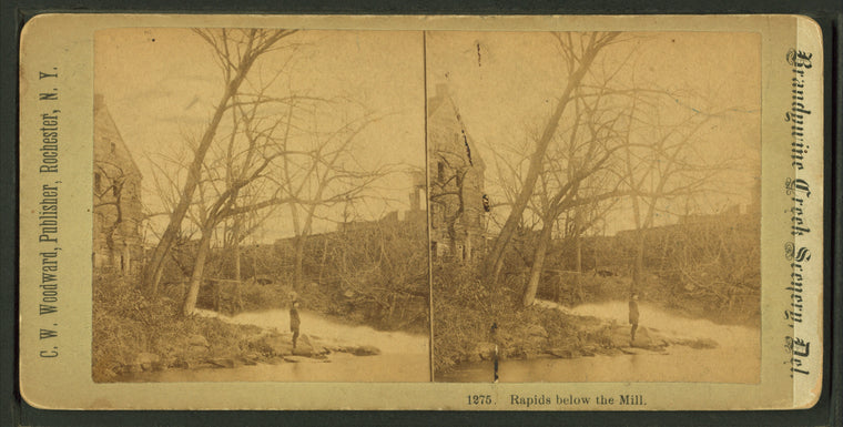 Rapids below the mill