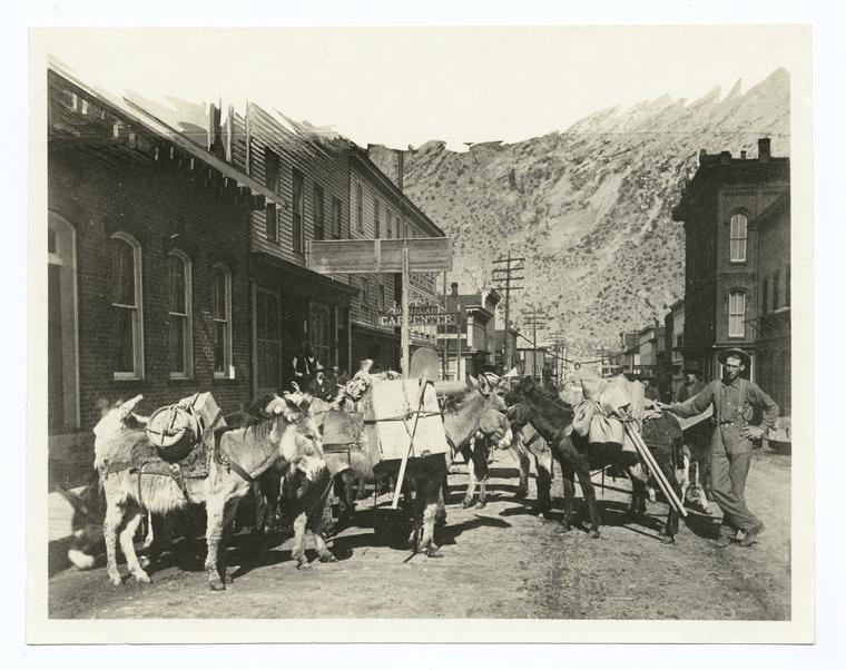 A prospector's pack train ready to start for the hills.