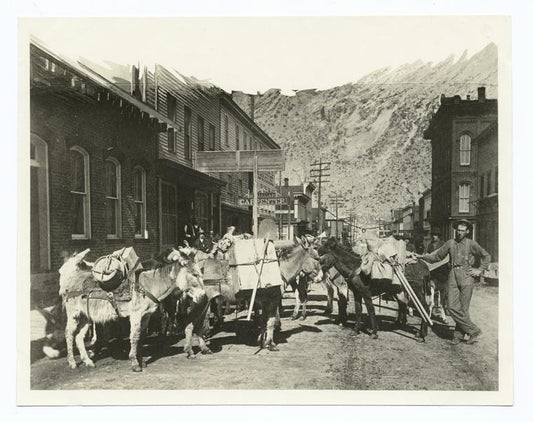 A prospector's pack train ready to start for the hills.