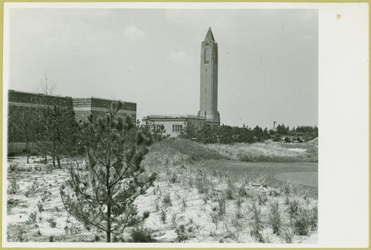 Jones Beach