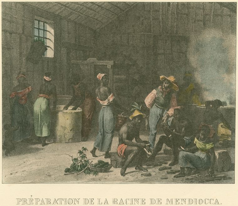 Préparation de la racine de mendiocca.