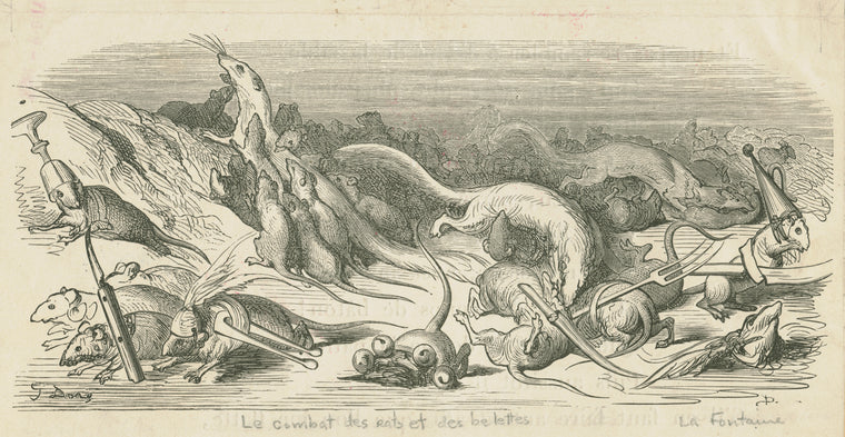 Le combat des rats et des belettes.