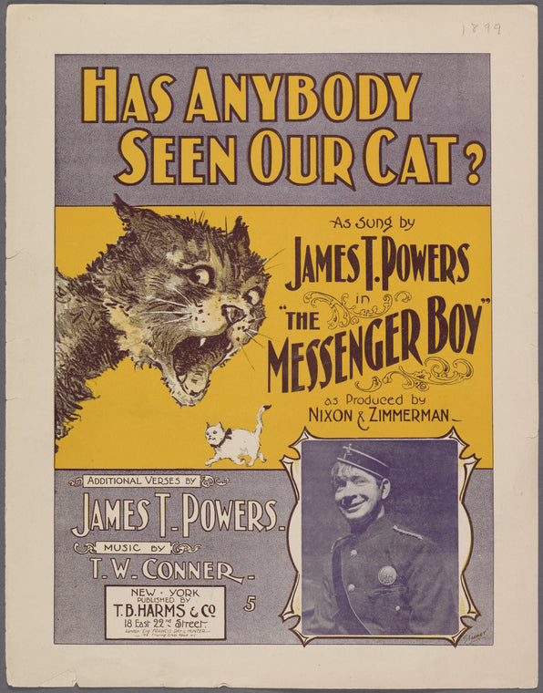 Has anybody seen our cat?