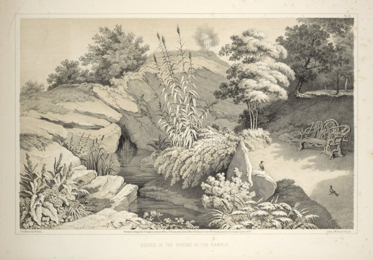 Source of the spring in the Rample [sic] From Central Park Album, 1862