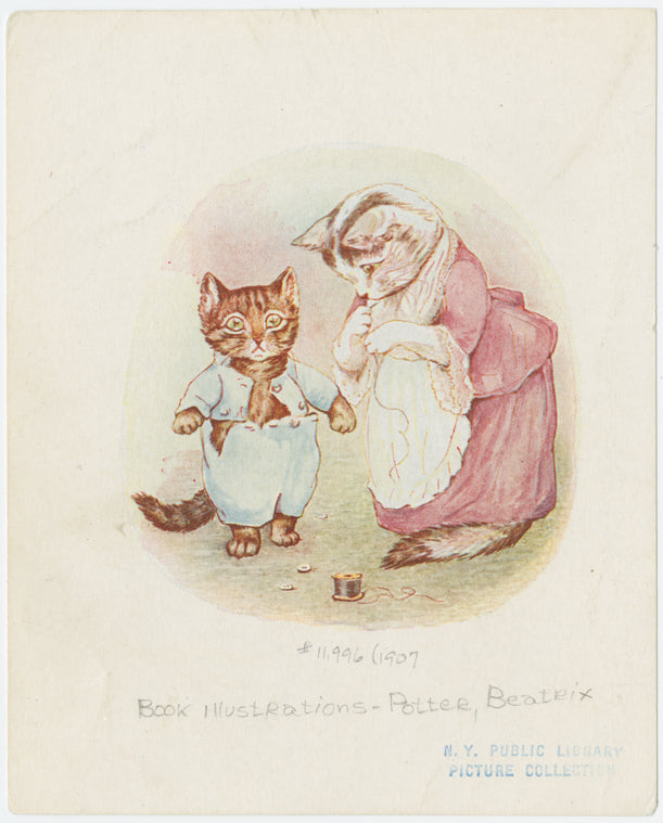 Tom Kitten was very fat.