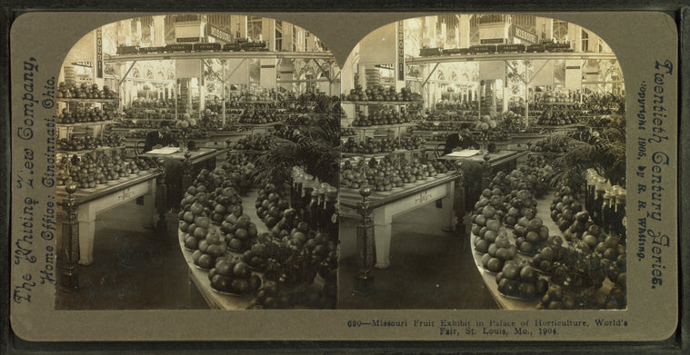 Missouri fruit exhibit in Palace of Horticulture.