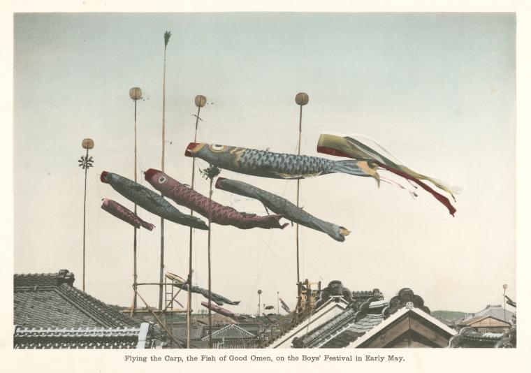 Flying the Carp, the Fish of Good Omen, on the Boys' Festival in Early May.
