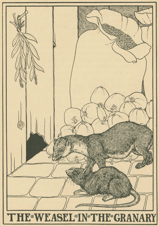 The weasel in the granary.