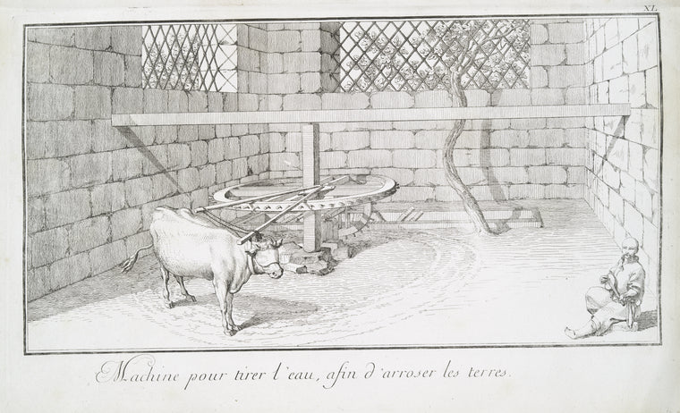Machine pour tirer l'eau, afin d'arroser les terres.