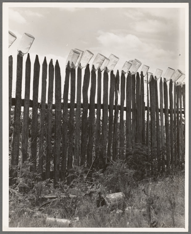 Fruit jars being sterilized on old lady Graham's back fence in berry season. Near Conway, Arkansas. "We just gather and can peas, beans, berries, and sausage when we butcher the hogs in the winter ..."