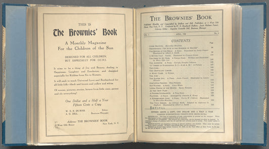 Brownies' book
