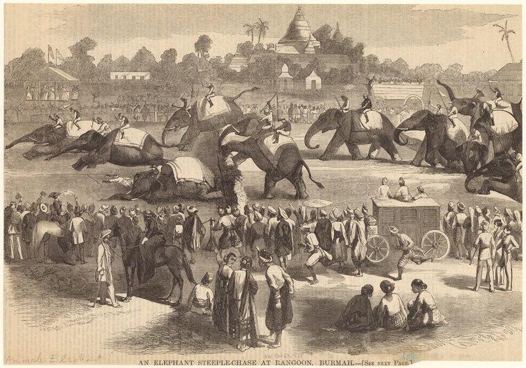 An elephant steeple-chase at Rangoon, Burmah