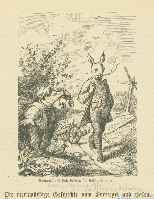 Swinegel und Hase besehen sich Kohl und Rüben