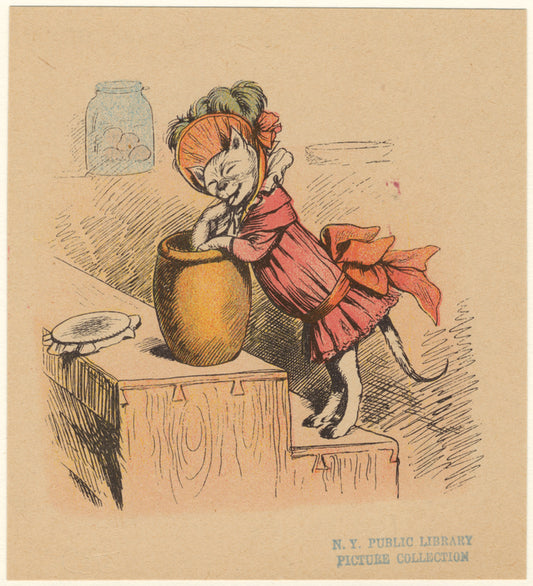 Cat reaching into a jar