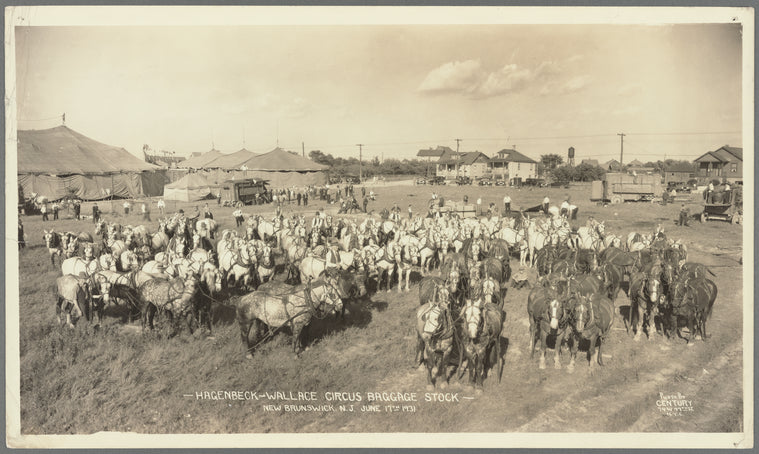 Hagenbeck-Wallace Circus baggage stock, New Brunswick, New Jersey