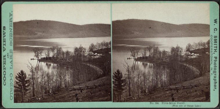 Five-Mile Point. (West side of Otsego Lake.)