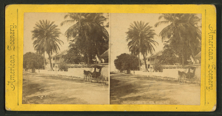 Caroline St., Key West, Fla.