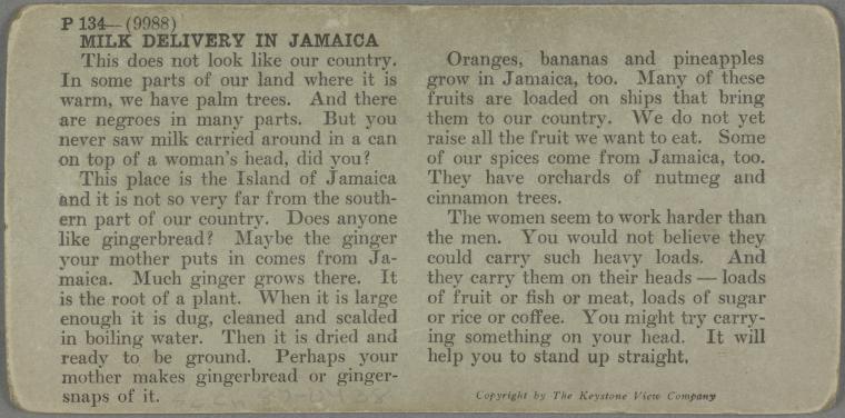 Milk Delivery in Jamaica