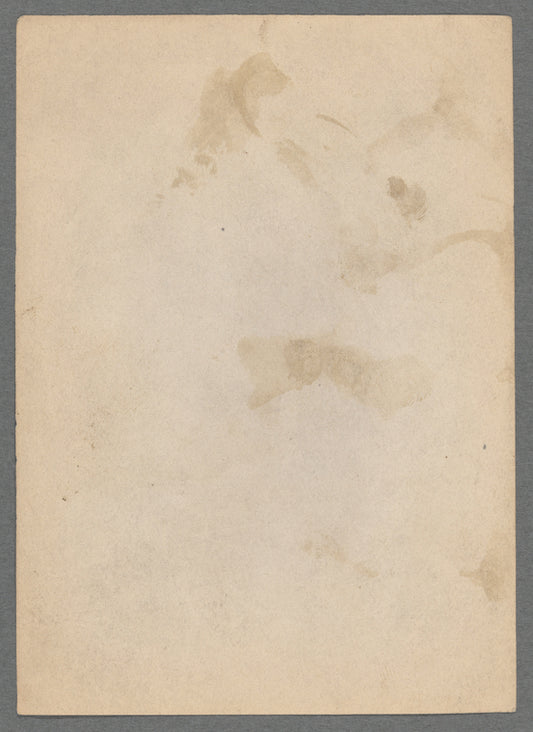 Coquina profilé
